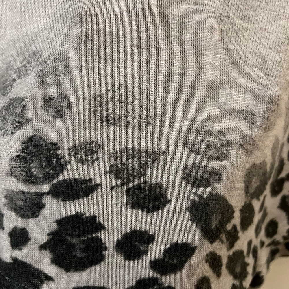 Grey leopard - Picture 2 of 6